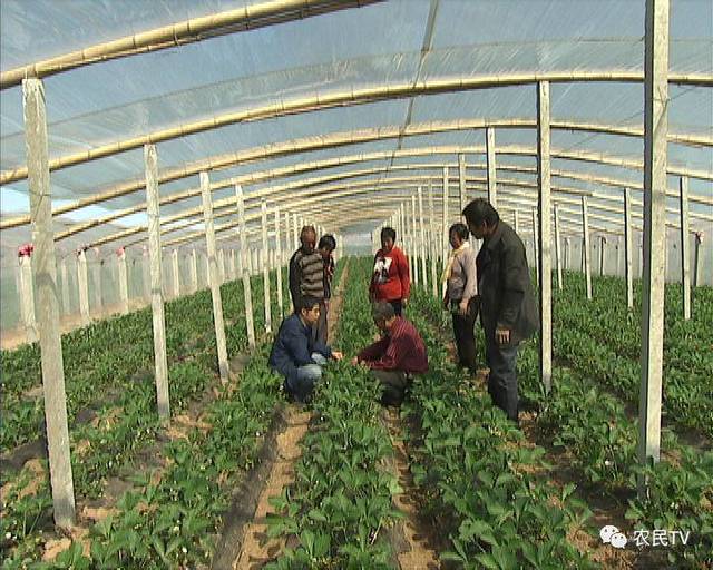 中字乱码一二三区别视频