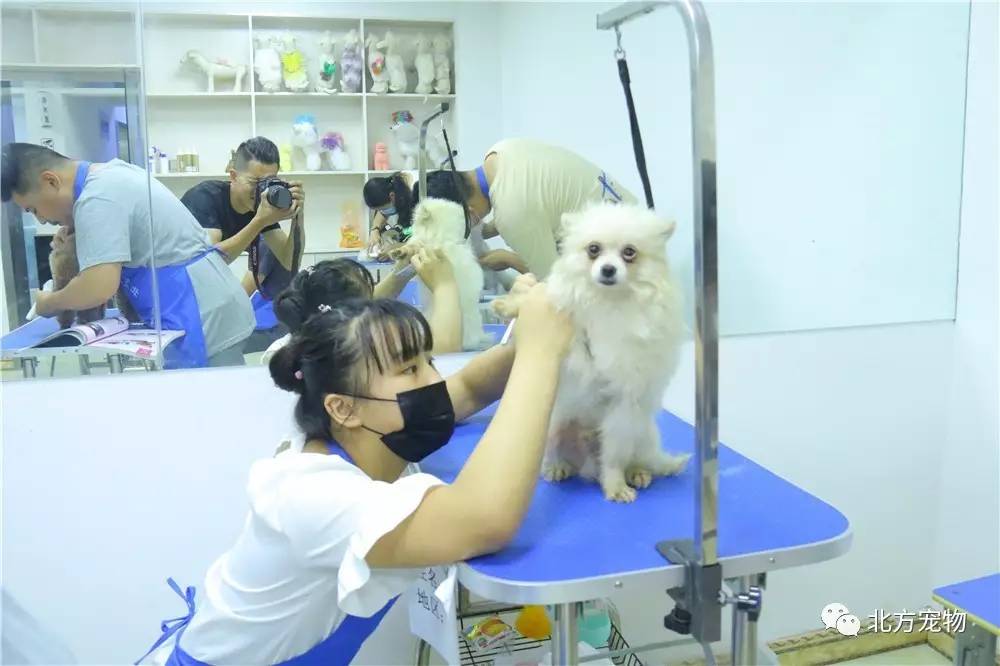 幼幼女父女 无法理解您的幼幼具体需求