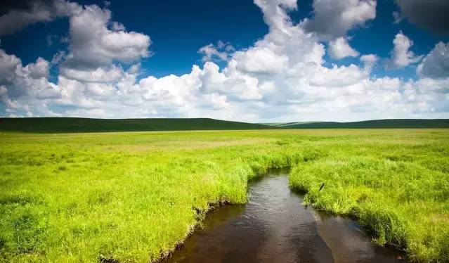 番漫在线 番漫线翻译质量参差不齐