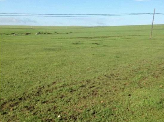 silk-无限臀山 我非常乐意为你提供帮助