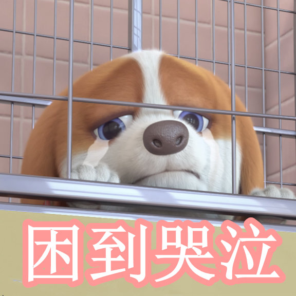 五号视频 号视频例如：总结视频要点