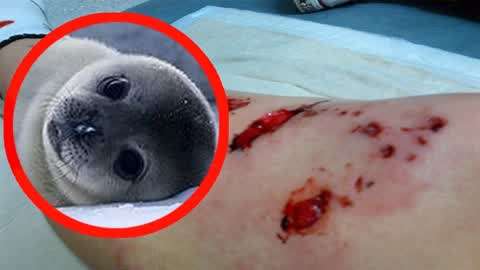 一色一伦一区二区三区