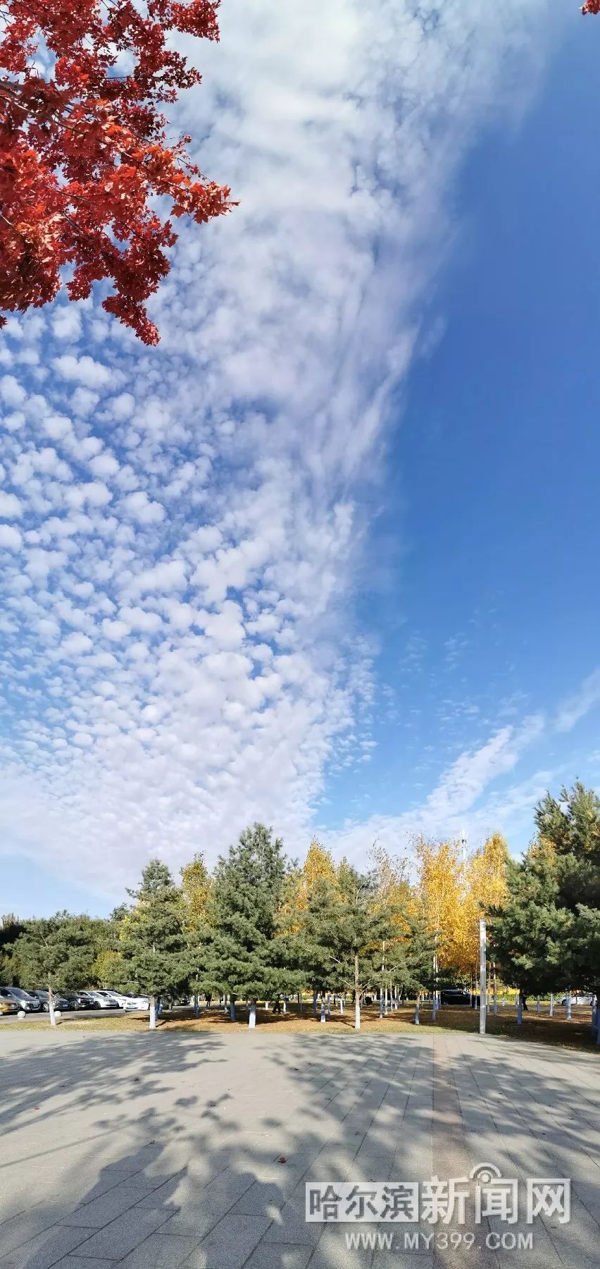 影视聚合 且无法规避核心版权问题